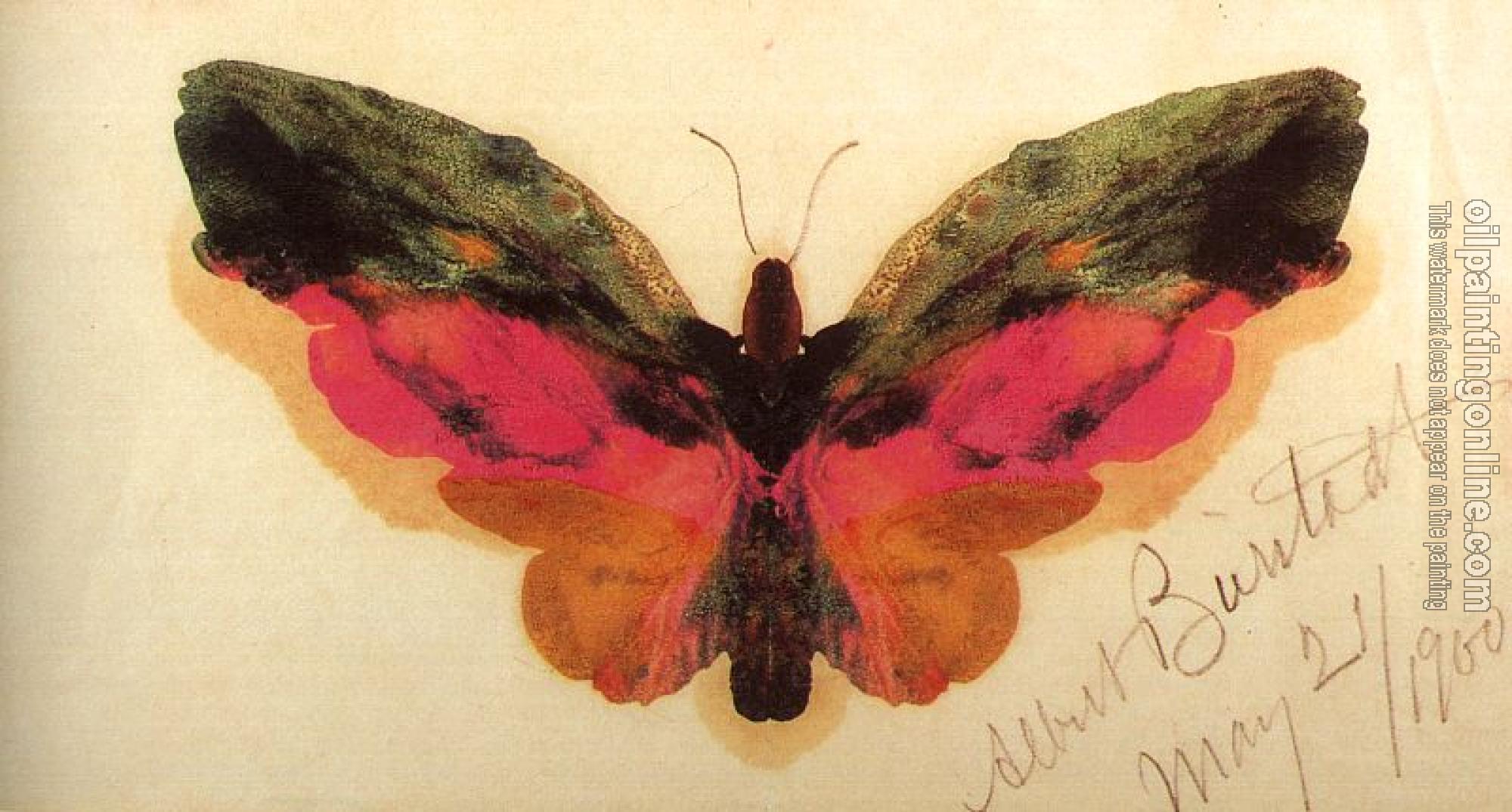 Bierstadt, Albert - Butterfly